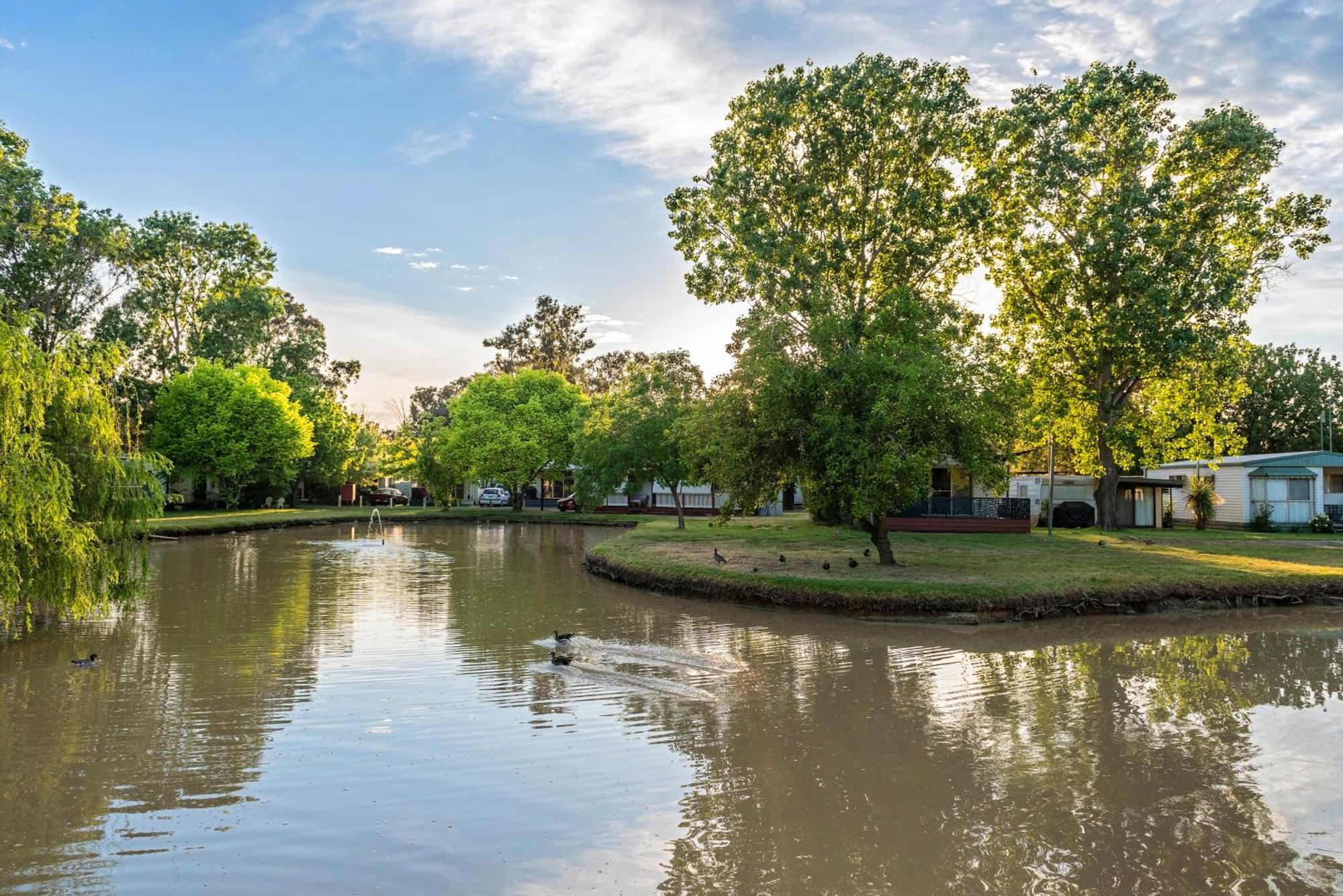 Discovery Parks - Maidens Inn Moama Kültér fotó